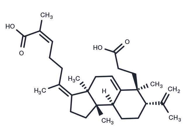 TargetMol Chemical Structure Kadsuracoccinic acid A