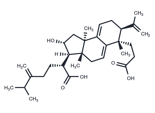 TargetMol Chemical Structure Poricoic acid A