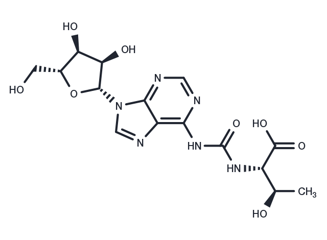 TargetMol Chemical Structure T6A