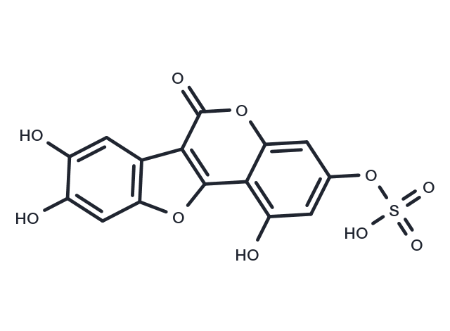 Demethylwedelolactone Sulfate Chemical Structure