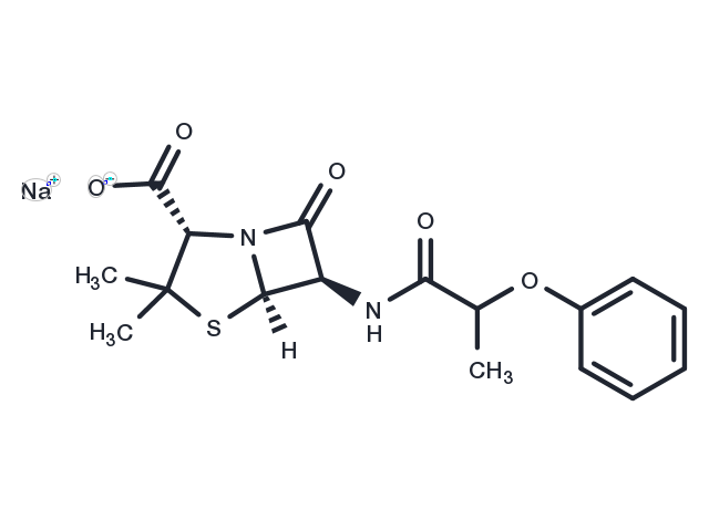 Phenethicillin sodium Chemical Structure