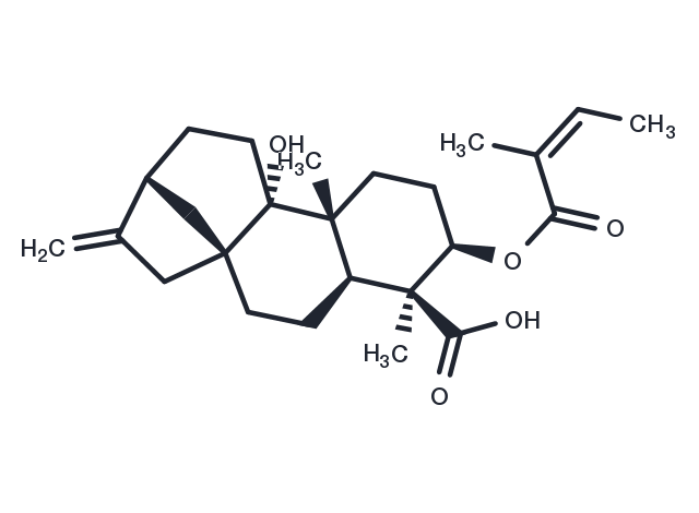 TargetMol Chemical Structure 3alpha-Angeloyloxypterokaurene L3