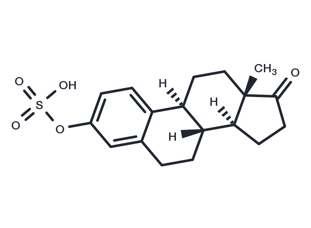 TargetMol Chemical Structure Premarin