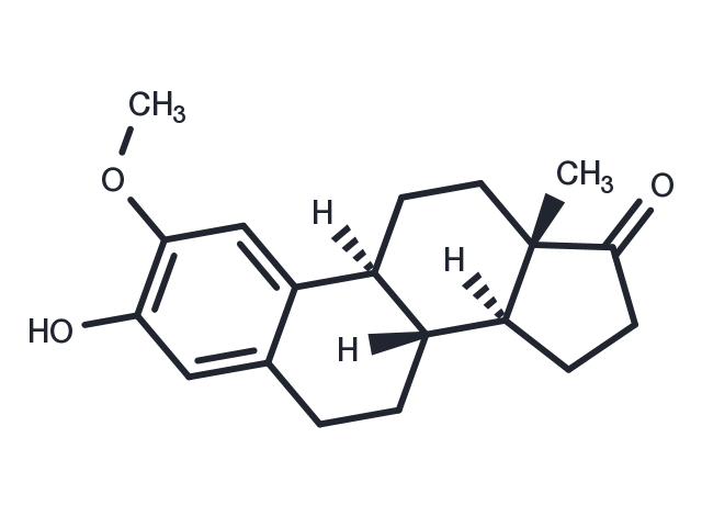 TargetMol Chemical Structure 2-Methoxyestrone