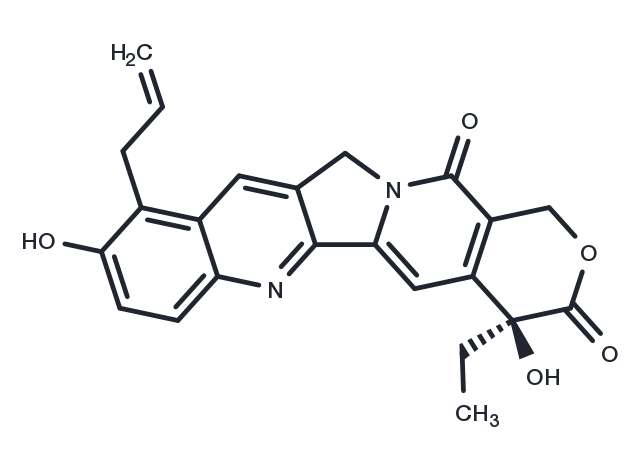 Chimmitecan Chemical Structure