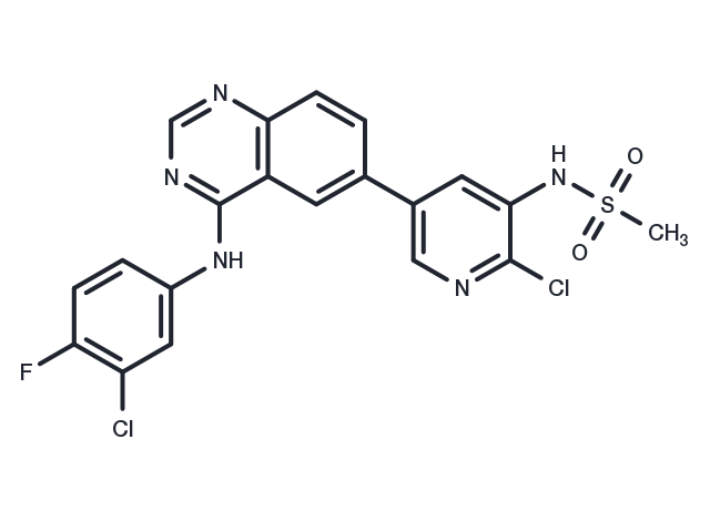 TargetMol Chemical Structure MTX-211