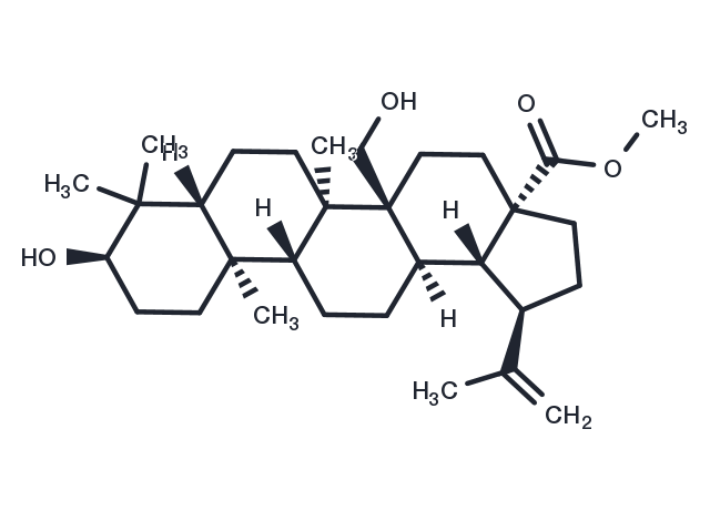 TargetMol Chemical Structure 3,27-Dihydroxy-20(29)-lupen-28-oic acid methyl ester