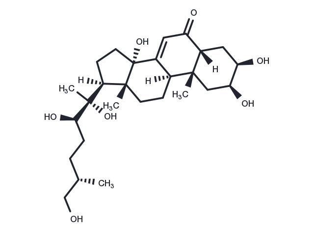 TargetMol Chemical Structure 25S-Inokosterone