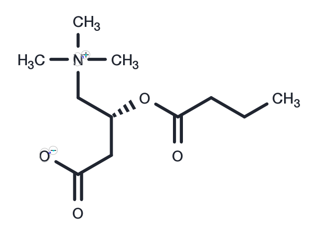Butyrylcarnitine Chemical Structure