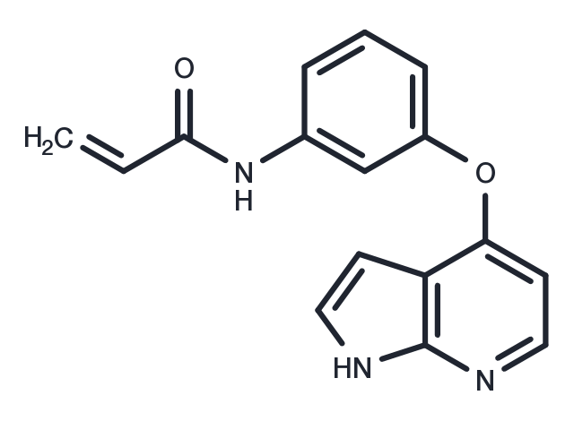 TargetMol Chemical Structure WZ4141