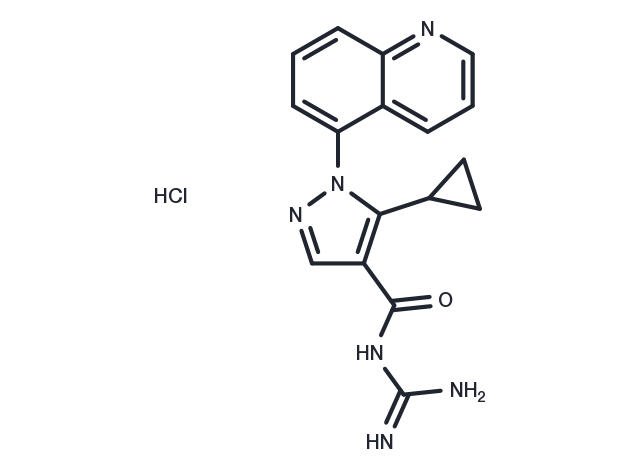 TargetMol Chemical Structure Zoniporide hydrochloride