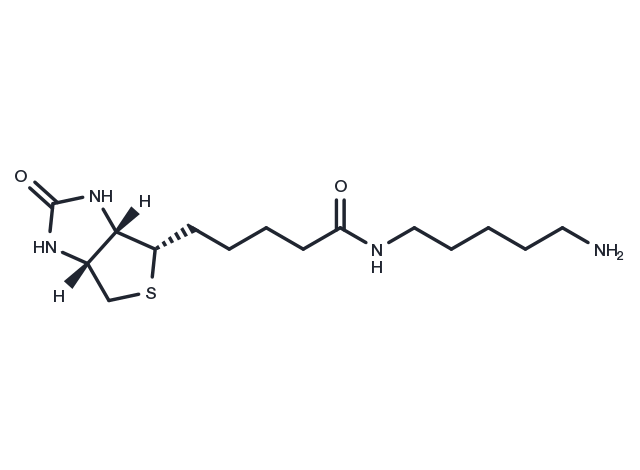 TargetMol Chemical Structure 5-(Biotinamido)pentylamine