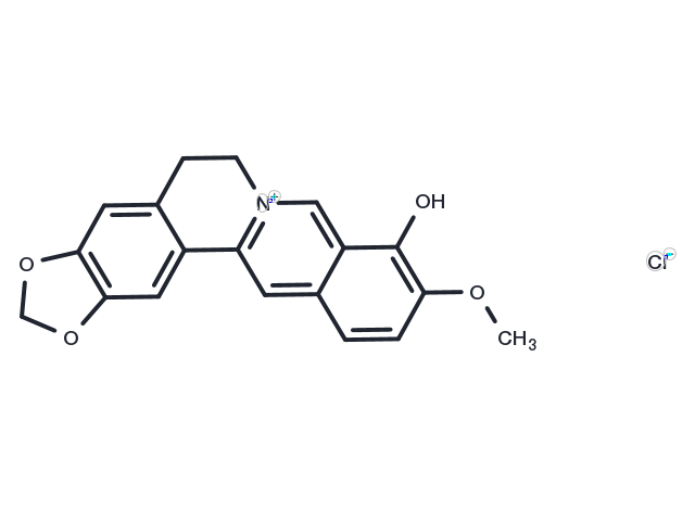 Berberrubine chloride Chemical Structure