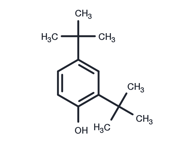 2,4-Di-tert-butylphenol Chemical Structure