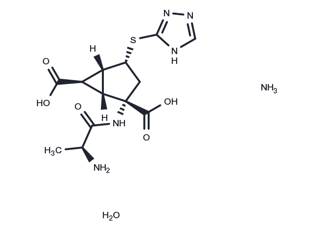 TargetMol Chemical Structure LY2979165