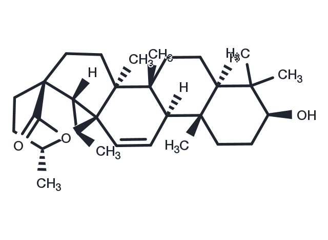 3-Hydroxy-11-ursen-28,13-olide Chemical Structure