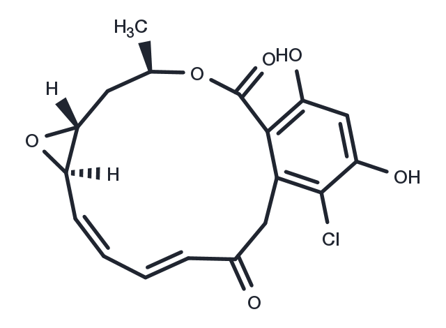 TargetMol Chemical Structure Radicicol