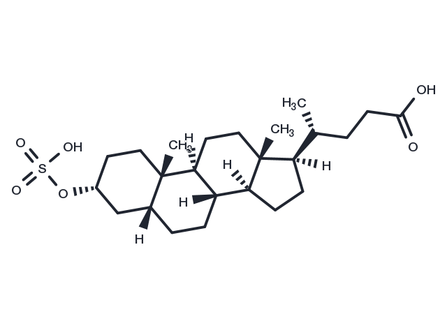 Sulfolithocholic acid Chemical Structure