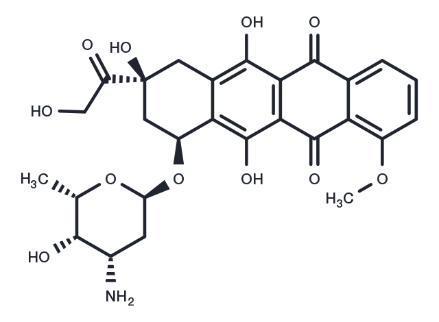 TargetMol Chemical Structure Doxorubicin
