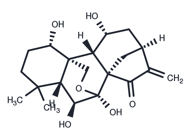 TargetMol Chemical Structure Effusanin E