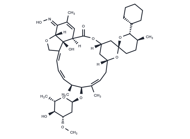 TargetMol Chemical Structure Selamectin