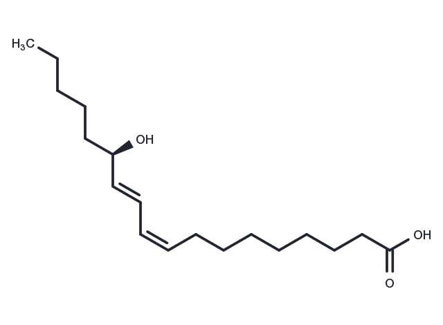 13(R)-HODE Chemical Structure