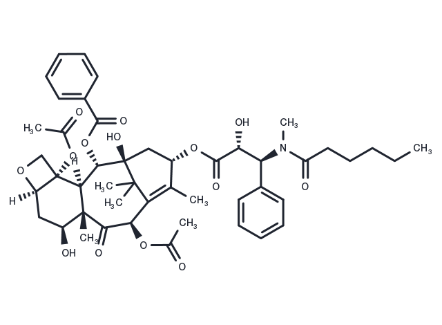 N-Methyltaxol C Chemical Structure