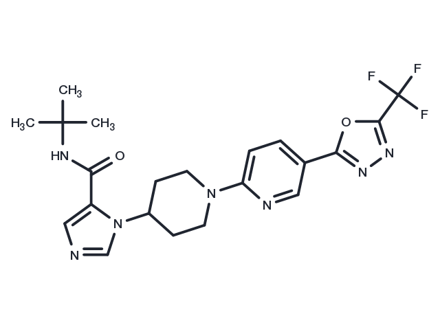 TargetMol Chemical Structure WNK463