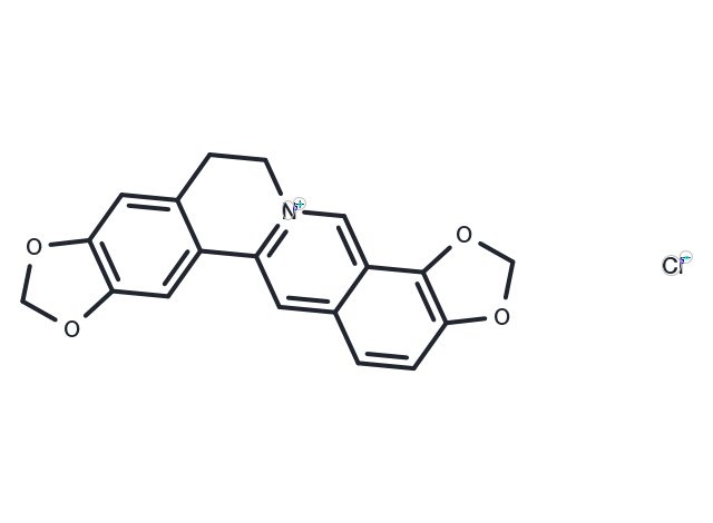 TargetMol Chemical Structure Coptisine chloride