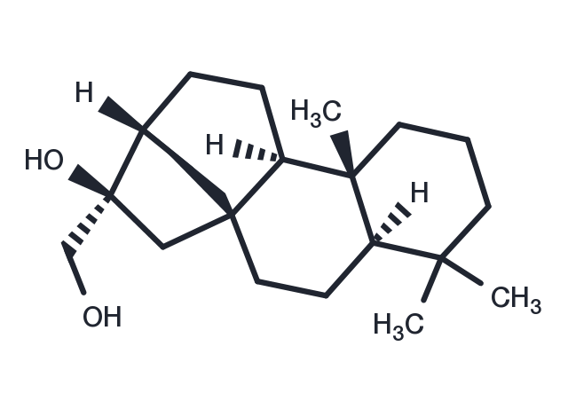 TargetMol Chemical Structure kauran-16,17-diol