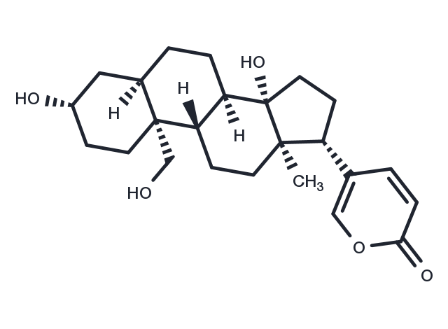 TargetMol Chemical Structure 19-Hydroxybufalin