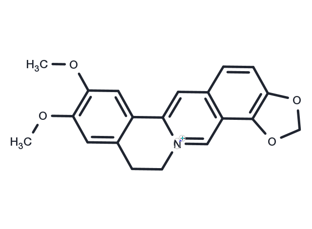 TargetMol Chemical Structure Epiberberine