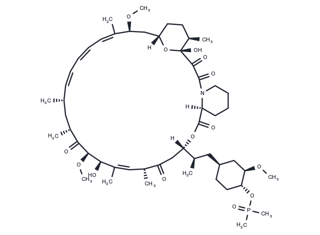 TargetMol Chemical Structure Ridaforolimus