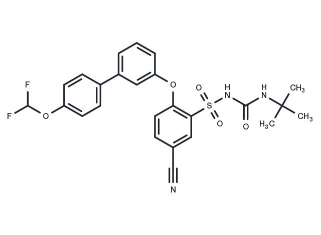 TargetMol Chemical Structure NTP42