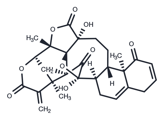 TargetMol Chemical Structure Physalin C