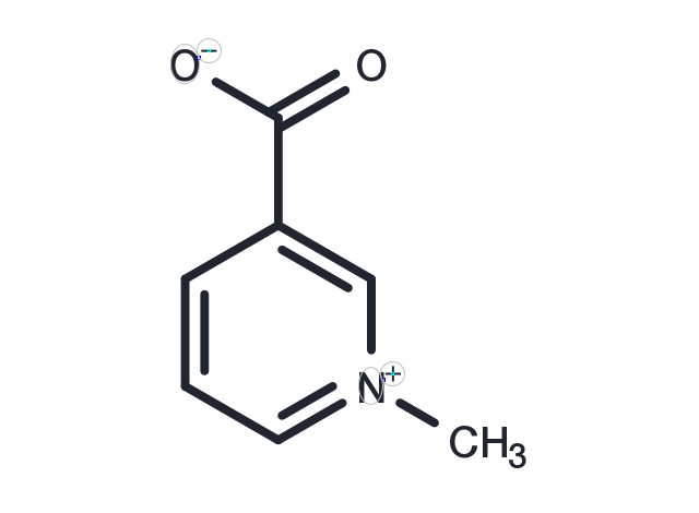 TargetMol Chemical Structure Trigonelline