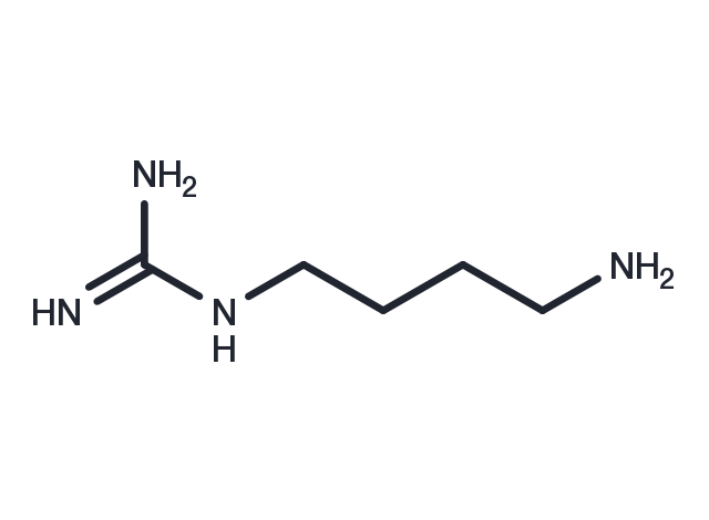 Agmatine Chemical Structure