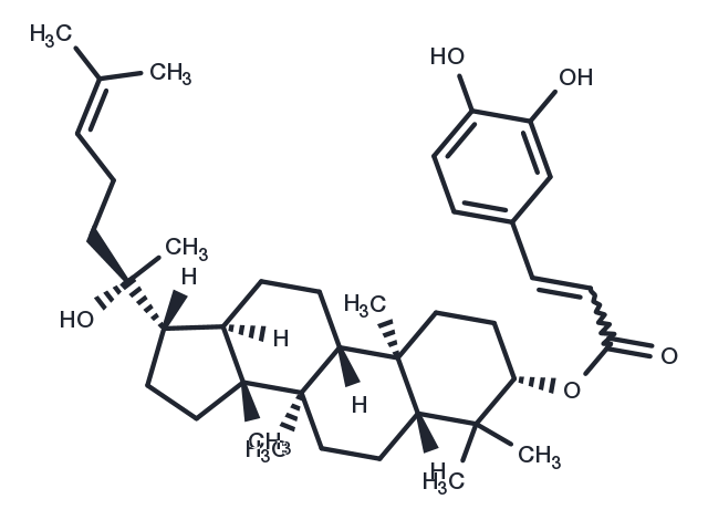 TargetMol Chemical Structure Dammarenediol II 3-O-caffeate
