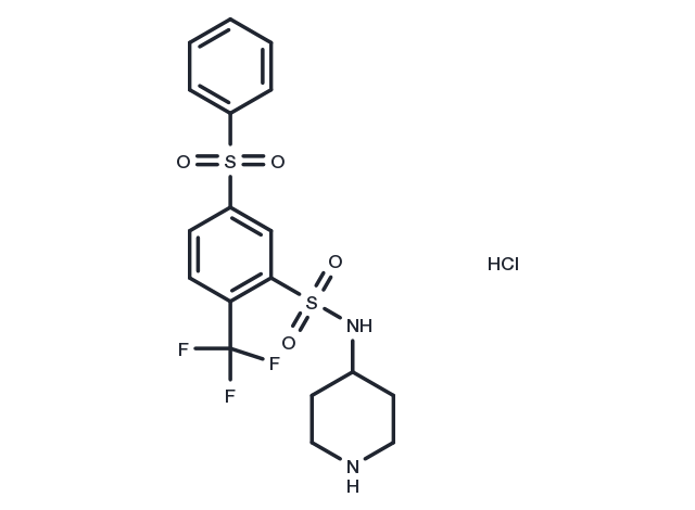 WAY 316606 HCl (915759-45-4 free base) Chemical Structure