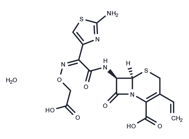 Cefixime trihydrate Chemical Structure