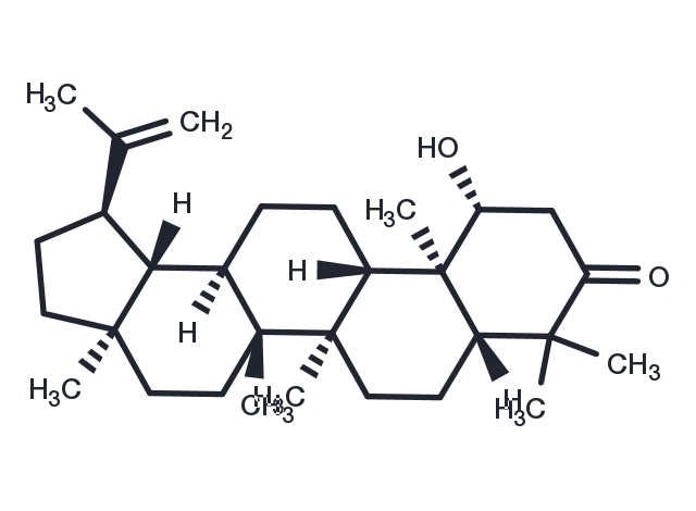 TargetMol Chemical Structure Glochidonol