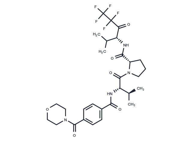 MDL-101146, (R)- Chemical Structure