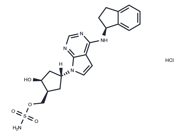 Pevonedistat hydrochloride Chemical Structure