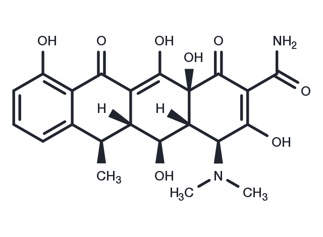 TargetMol Chemical Structure Doxycycline