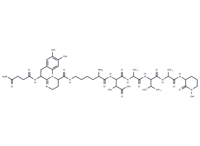 Pseudobactin A Chemical Structure