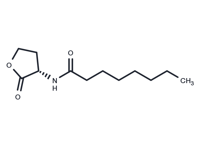 N-octanoyl-L-Homoserine lactone Chemical Structure