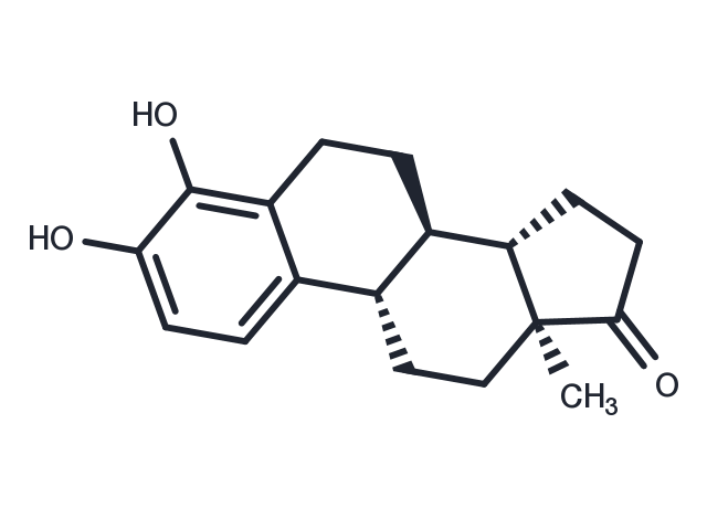 TargetMol Chemical Structure 4-Hydroxyestrone