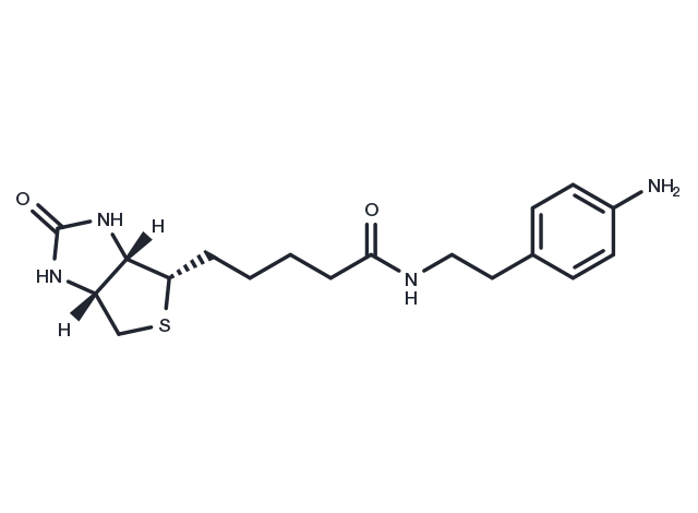 Biotin-aniline Chemical Structure