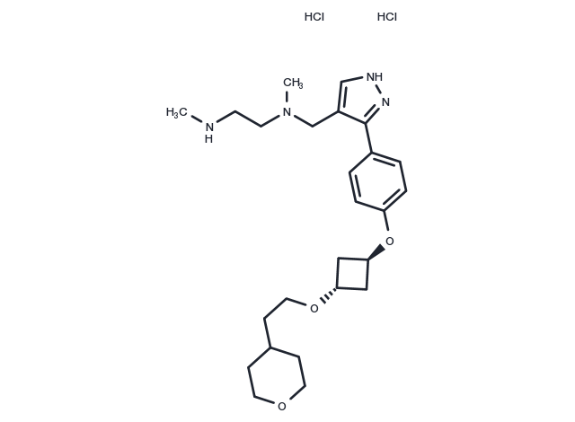 EPZ020411 2HCl (1700663-41-7(free base)) Chemical Structure