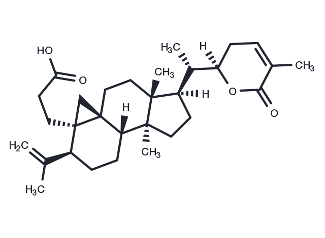 TargetMol Chemical Structure Schisanlactone E